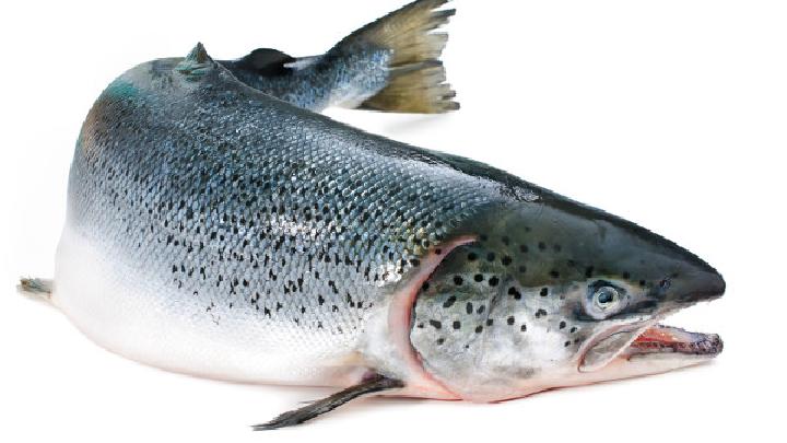 鲑鱼面线——补益虚损健脾益胃