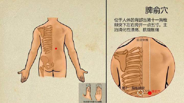 按哪些穴位可以瘦臉呢