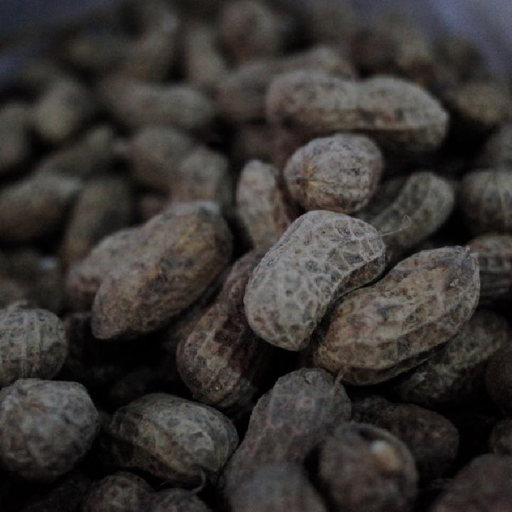 花生豆浆的好处 多吃花生为健康保驾护航