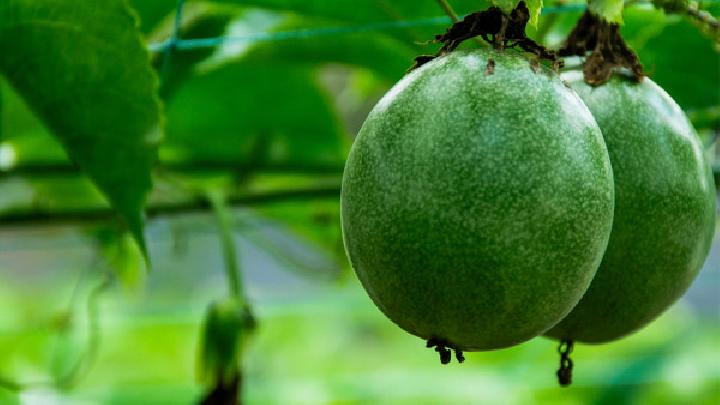 用水果面膜护肤好 自制面膜更美容