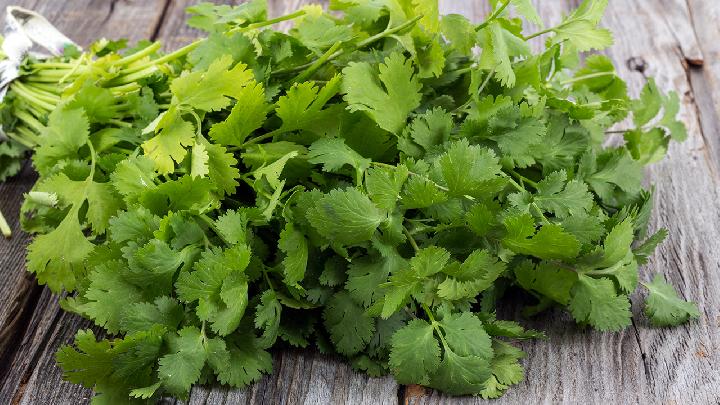 香菜能健胃补血 推荐2个食疗方
