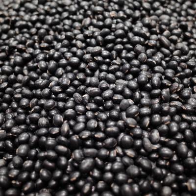 黑豆糯米豆浆——补气血养肝美容