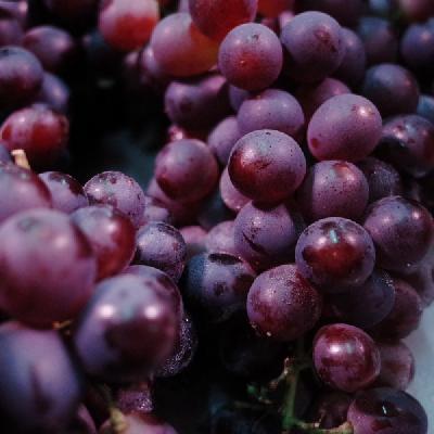 一天吃一斤葡萄会胖吗 减肥能吃葡萄吗