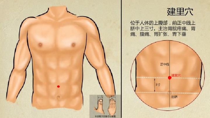 中医常见减肥膳食有哪些 常见的健康减肥的中药材有哪些