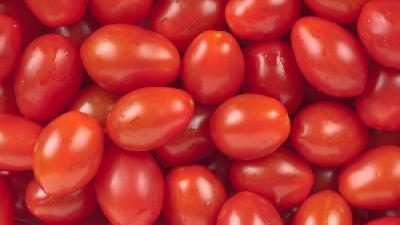 番茄炒丝瓜——促进食欲美容通乳
