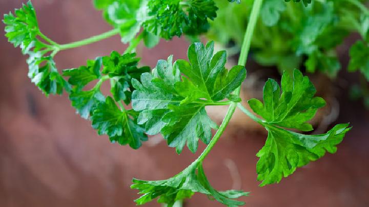 雞毛菜肉絲炒面條——保持血管彈性強身