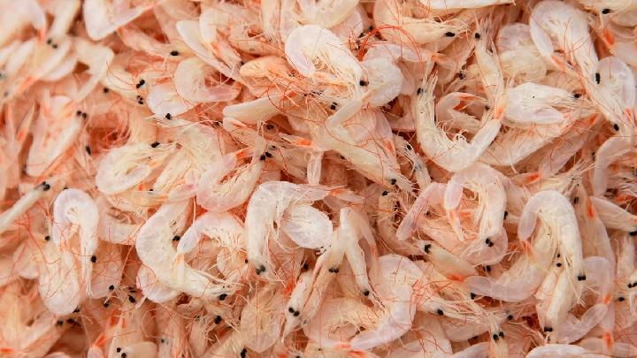 吃虾皮有助健康 常吃帮助养生