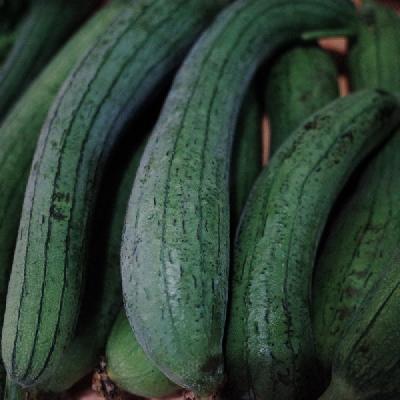 吃丝瓜可以止咳吗 治疗慢性支气管炎所导致的咳嗽