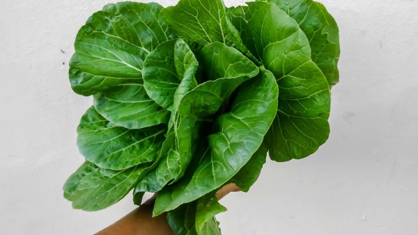 如何給身體排毒？3種食物幫你排毒素，養(yǎng)腸胃，補(bǔ)血又年輕！