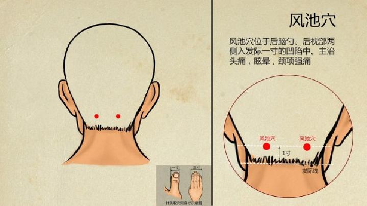 风池穴位的作用，揭示按摩凤池穴位的好处