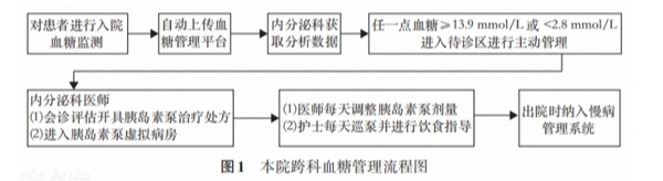 内分泌科医护必看：全院血糖“虚拟病房”管理新理念在糖尿病诊疗中的探索