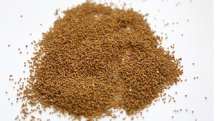 怎样自制中药减肥茶？减肥茶是最佳减肥瘦身法