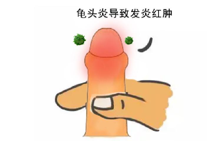 什么叫干细胞再生修复