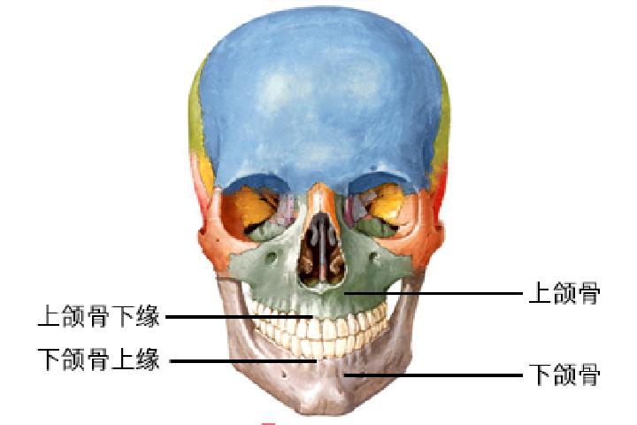 植發(fā)會(huì)不會(huì)有什么副作用呢