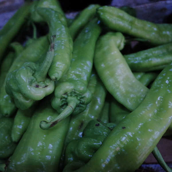 韭菜是高血糖“杀手”？医生忠告：不想血糖飙升，5种菜少吃为妙