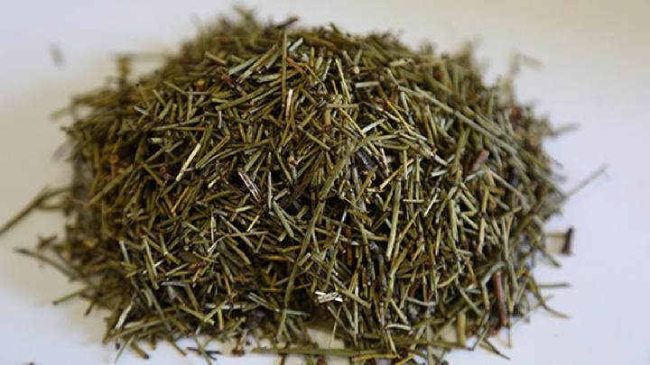 蜜麻黃的功效與作用