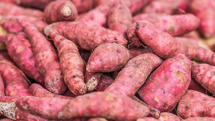 可以能降糖血糖高的人吃啥水果好