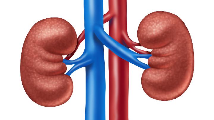 肾衰竭肾前性、肾后性和肾性的区别