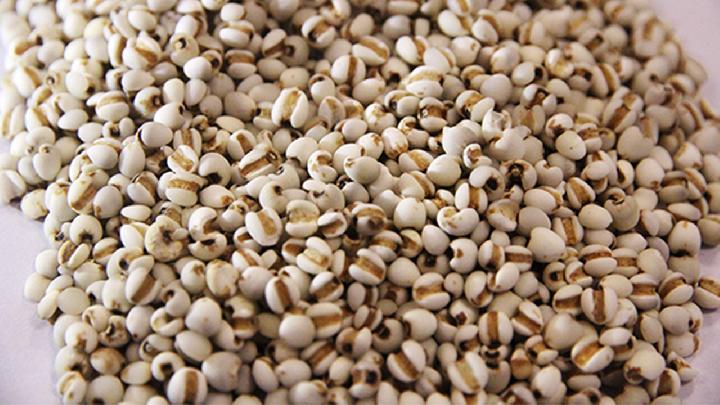 红豆薏米能打豆浆吗