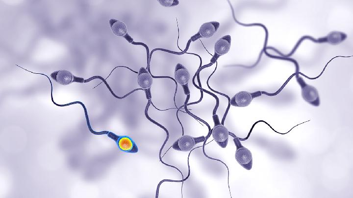 男性精子存活率多少正常