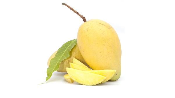 芒果不能和哪些食物一起食用