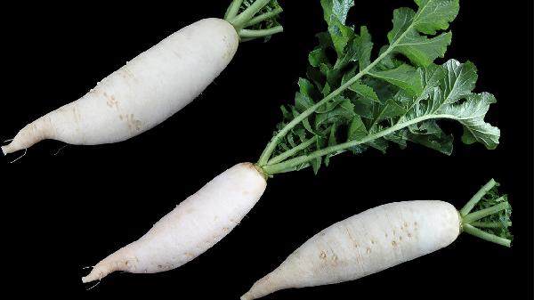 白萝卜不能和哪些食物一起食用