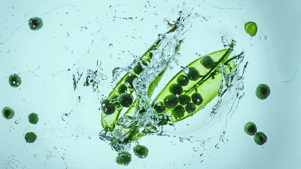 腹膜炎可以喝蜂蜜水吗 科学饮食改善腹膜炎