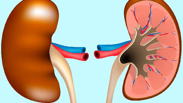 肾囊肿是怎么得的 先天性肾囊肿影响健康