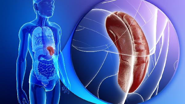 体弱爱生病4种食物提高免疫力