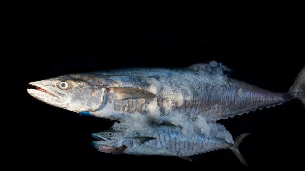 運(yùn)動后大魚大肉你就錯了