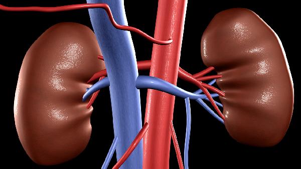 引起肾囊肿原因都有哪些 引起肾囊肿的三个原因浅析
