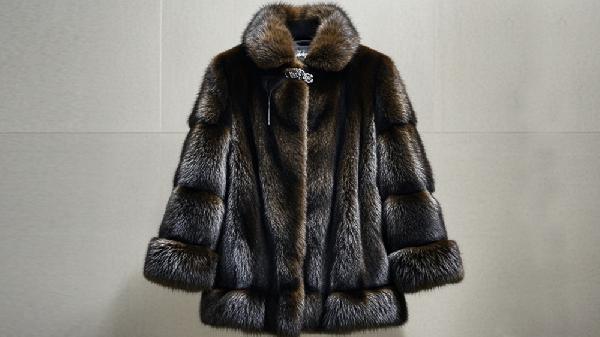 貂皮清洗可以用雪洗吗