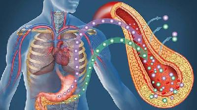 重症急性胰腺炎有救吗