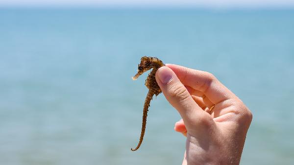 针织衫缩水了是质量问题吗