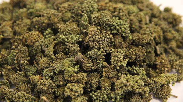 三七花和什么泡水比较好 体内湿气重能喝三七花泡水吗