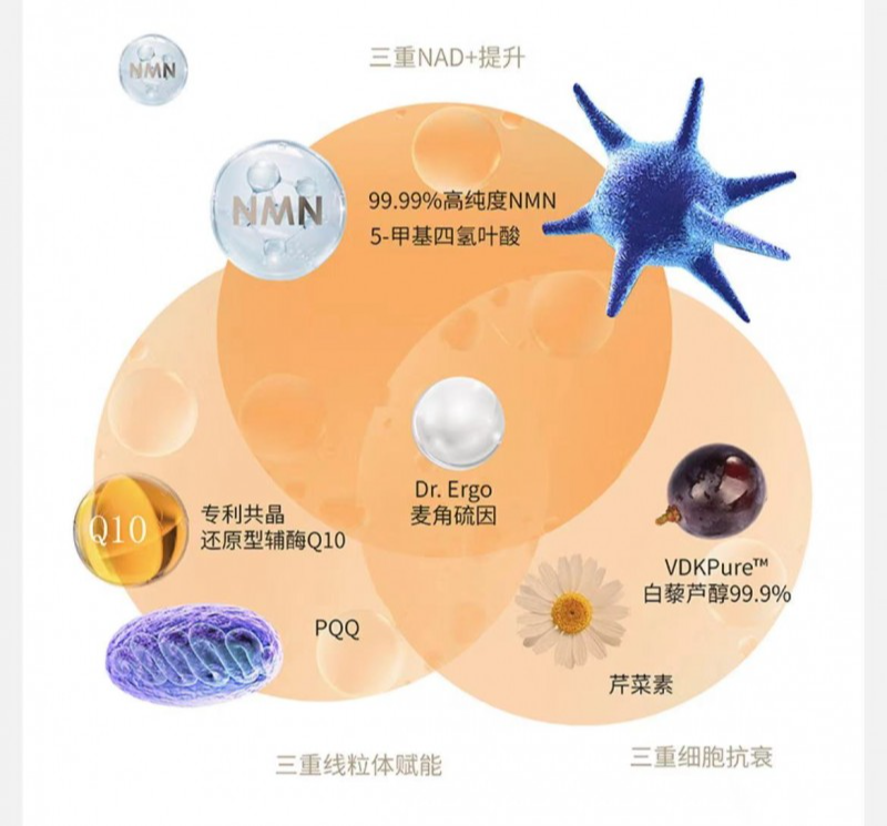 健康养老成内需新支点，GRANVER吉返盾矩阵抗老备受瞩目