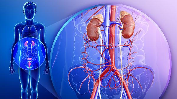 腎衰竭的癥狀 有這6個(gè)癥狀別忽視警惕腎臟衰竭