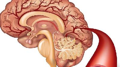 人大腦缺氧怎么辦