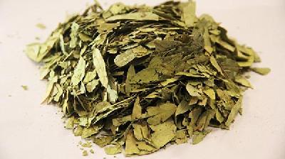 通便的中草药有哪些