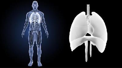 肺癌中药治疗的最新方法