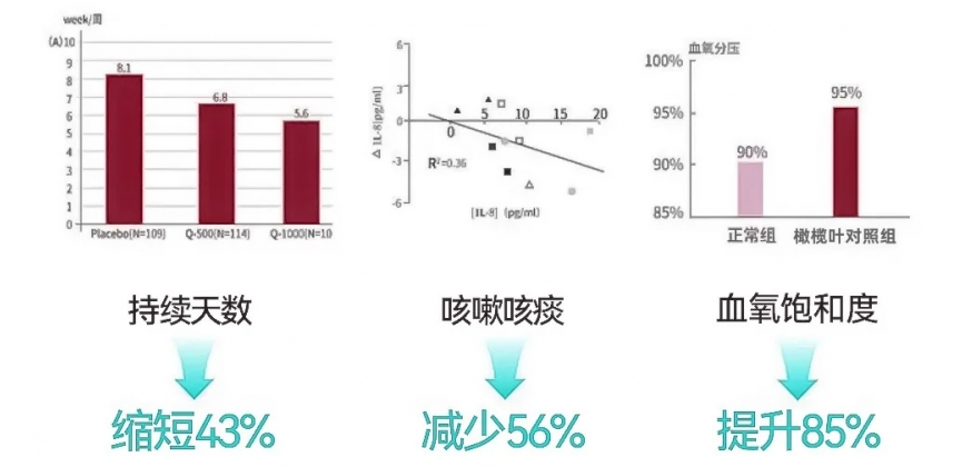 慢阻肺成为第三大致死因，Granver吉清肺打造药食同源护肺新标准