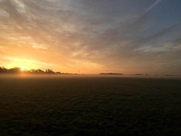 公司故意针对你怎么办