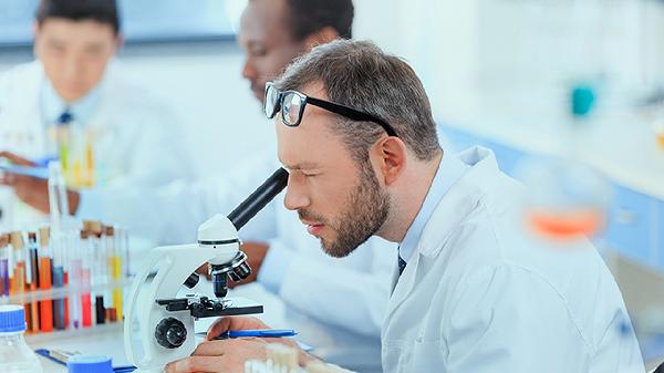 便常规能化验什么？ 探索排便检查的关键健康指标