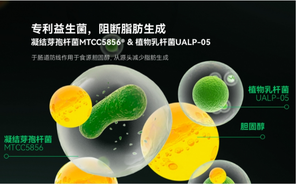 药物性肝损伤频发，LAIFE「乐轻肝」以哈佛原研实力为肝脏减负