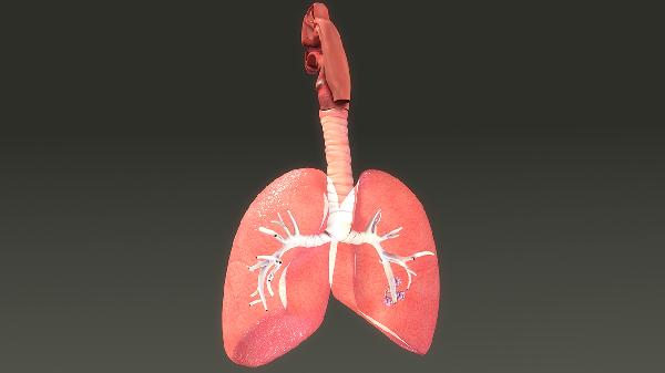 肺部检查最清晰的项目有哪些？ 低剂量螺旋CT让肺部病变无所遁形