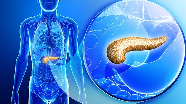 胰腺回声增强需要治疗吗