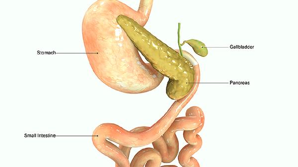 肝不好會引起食欲不振嗎