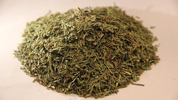 侧柏叶洗头的好处