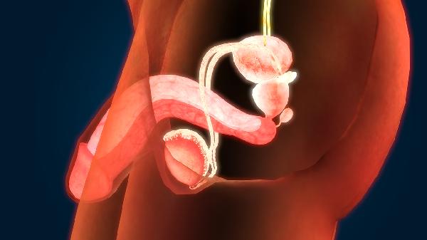 男人遗尿遗精怎么回事