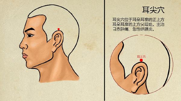 中医白发变黑发最好的方法